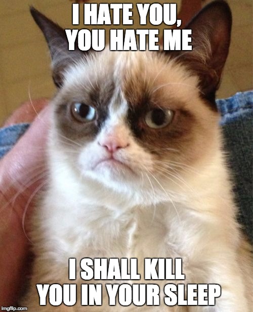 Grumpy Cat | I HATE YOU, YOU HATE ME; I SHALL KILL YOU IN YOUR SLEEP | image tagged in memes,grumpy cat | made w/ Imgflip meme maker