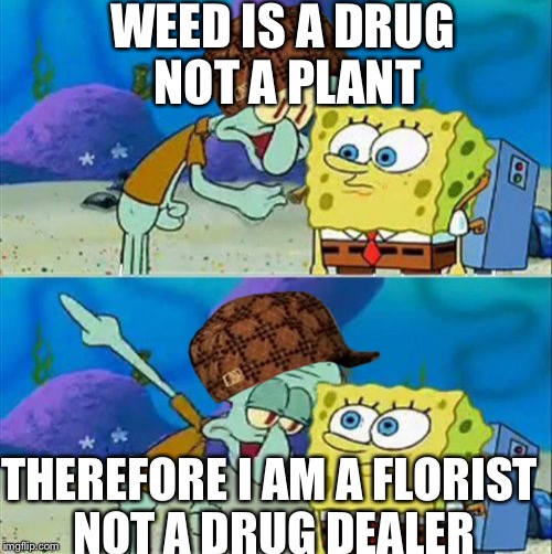 Talk To Spongebob Meme | WEED IS A DRUG NOT A PLANT; THEREFORE I AM A FLORIST NOT A DRUG DEALER | image tagged in memes,talk to spongebob,scumbag | made w/ Imgflip meme maker