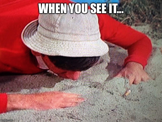 Can you find the gaff? | WHEN YOU SEE IT... | image tagged in memes,tv,latest,featured,gilligan's island | made w/ Imgflip meme maker