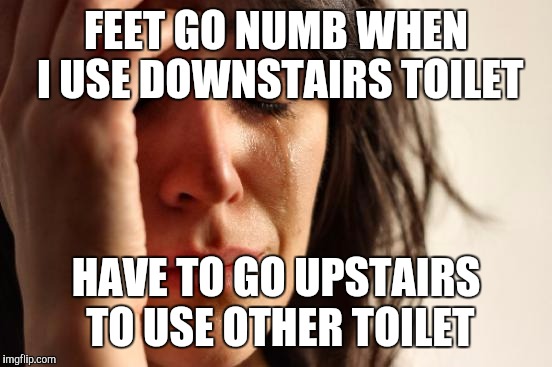 First World Problems | FEET GO NUMB WHEN I USE DOWNSTAIRS TOILET; HAVE TO GO UPSTAIRS TO USE OTHER TOILET | image tagged in memes,first world problems,AdviceAnimals | made w/ Imgflip meme maker