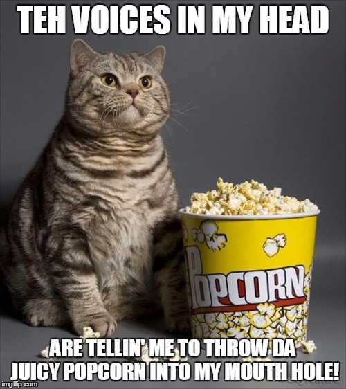 Cat eating popcorn | TEH VOICES IN MY HEAD; ARE TELLIN' ME TO THROW DA JUICY POPCORN INTO MY MOUTH HOLE! | image tagged in cat eating popcorn | made w/ Imgflip meme maker