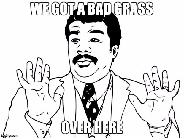 Watch out guys, We got us a badass over here | WE GOT A BAD GRASS; OVER HERE | image tagged in watch out guys we got us a badass over here | made w/ Imgflip meme maker