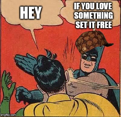 Batman Slapping Robin Meme | HEY IF YOU LOVE SOMETHING SET IT FREE | image tagged in memes,batman slapping robin,scumbag | made w/ Imgflip meme maker