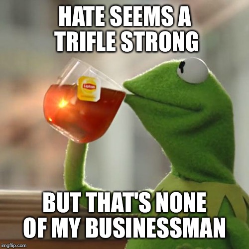 But That's None Of My Business Meme | HATE SEEMS A TRIFLE STRONG BUT THAT'S NONE OF MY BUSINESSMAN | image tagged in memes,but thats none of my business,kermit the frog | made w/ Imgflip meme maker