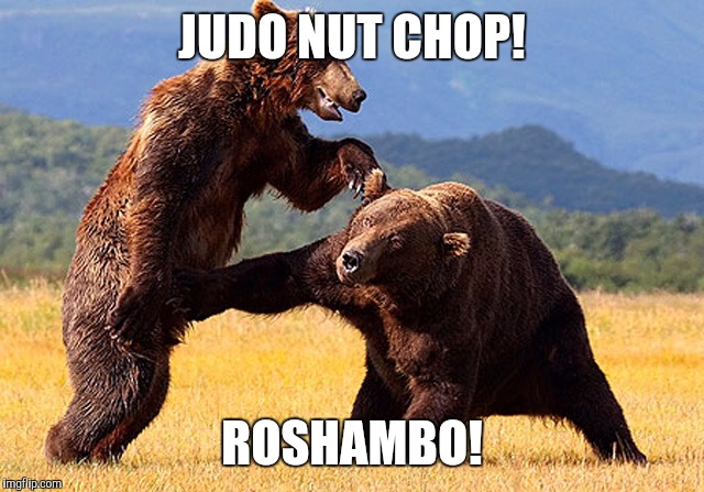 JUDO NUT CHOP! ROSHAMBO! | made w/ Imgflip meme maker