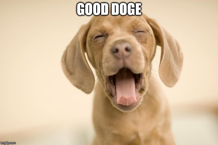 GOOD DOGE | made w/ Imgflip meme maker