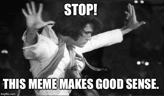 STOP! THIS MEME MAKES GOOD SENSE. | made w/ Imgflip meme maker