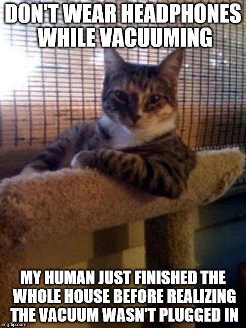 It takes a special kind of human | DON'T WEAR HEADPHONES WHILE VACUUMING; MY HUMAN JUST FINISHED THE WHOLE HOUSE BEFORE REALIZING THE VACUUM WASN'T PLUGGED IN | image tagged in memes,the most interesting cat in the world | made w/ Imgflip meme maker