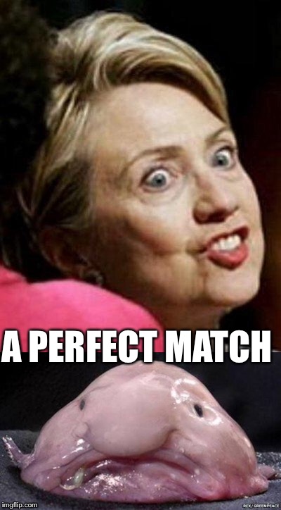 Hillary found the perfect match on Tinder | A PERFECT MATCH | image tagged in hillary clinton,blobfish,love | made w/ Imgflip meme maker