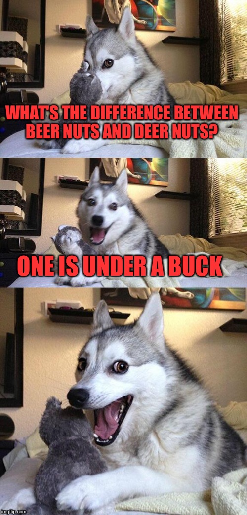 Bad Pun Dog Meme | WHAT'S THE DIFFERENCE BETWEEN BEER NUTS AND DEER NUTS? ONE IS UNDER A BUCK | image tagged in memes,bad pun dog | made w/ Imgflip meme maker