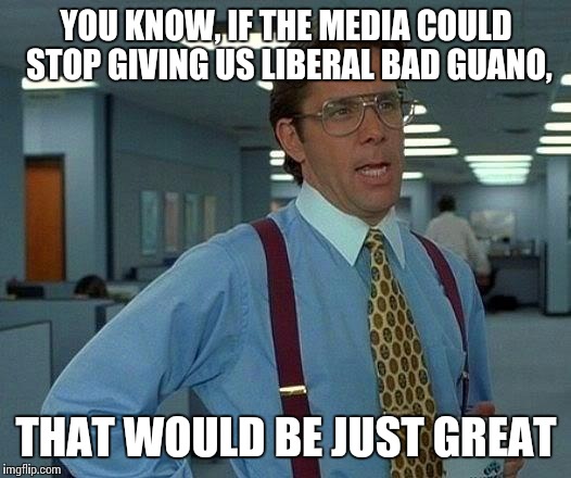 That Would Be Great | YOU KNOW, IF THE MEDIA COULD STOP GIVING US LIBERAL BAD GUANO, THAT WOULD BE JUST GREAT | image tagged in memes,that would be great | made w/ Imgflip meme maker
