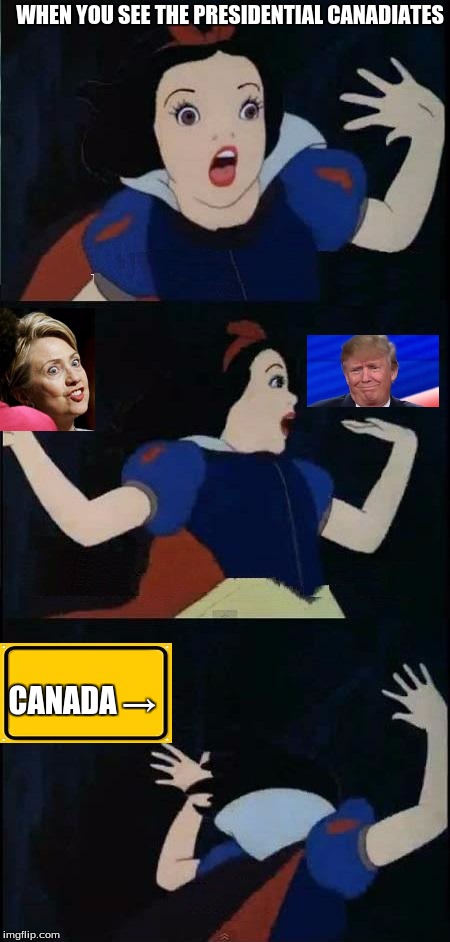 Snow White  | WHEN YOU SEE THE PRESIDENTIAL CANADIATES; CANADA → | image tagged in snow white | made w/ Imgflip meme maker