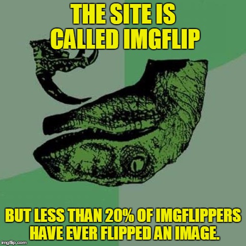 Philosoraptor Meme | THE SITE IS CALLED IMGFLIP; BUT LESS THAN 20% OF IMGFLIPPERS HAVE EVER FLIPPED AN IMAGE. | image tagged in memes,philosoraptor,imgflip,flip,wtf,what | made w/ Imgflip meme maker