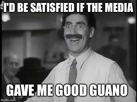 I'D BE SATISFIED IF THE MEDIA GAVE ME GOOD GUANO | made w/ Imgflip meme maker