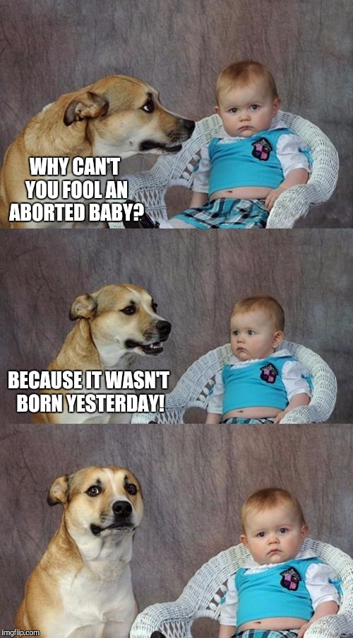 Fooling The Unborn | WHY CAN'T YOU FOOL AN ABORTED BABY? BECAUSE IT WASN'T BORN YESTERDAY! | image tagged in memes,dad joke dog | made w/ Imgflip meme maker