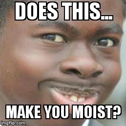 Does this make you moist? | DOES THIS... MAKE YOU MOIST? | image tagged in moist,funny,fake mustache | made w/ Imgflip meme maker