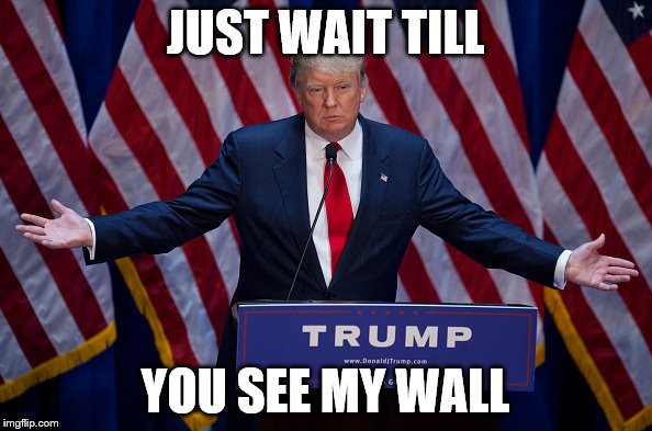 Trump Bruh | JUST WAIT TILL YOU SEE MY WALL | image tagged in trump bruh | made w/ Imgflip meme maker