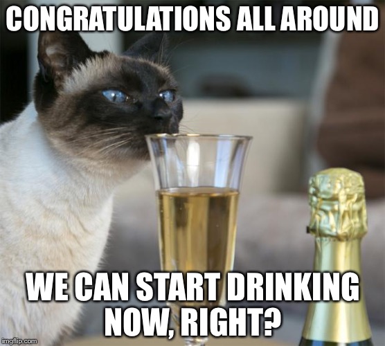 cat with champagne flute | CONGRATULATIONS ALL AROUND; WE CAN START DRINKING NOW, RIGHT? | image tagged in cat with champagne flute | made w/ Imgflip meme maker