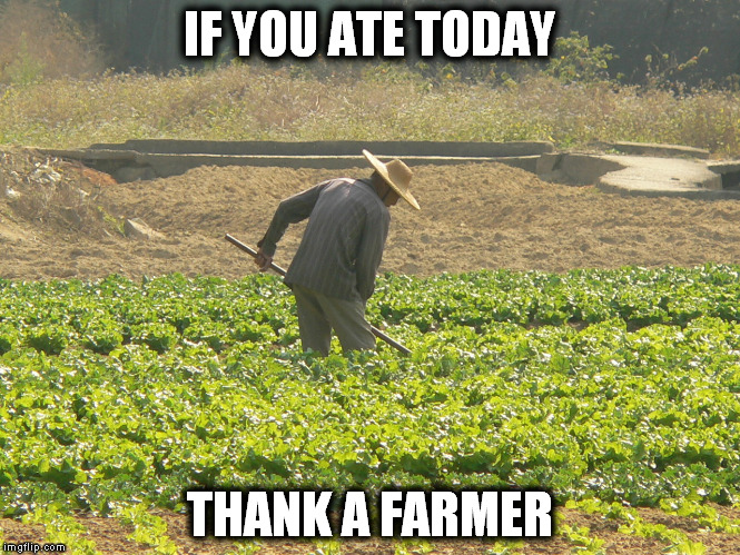 farmer | IF YOU ATE TODAY; THANK A FARMER | image tagged in farmer | made w/ Imgflip meme maker