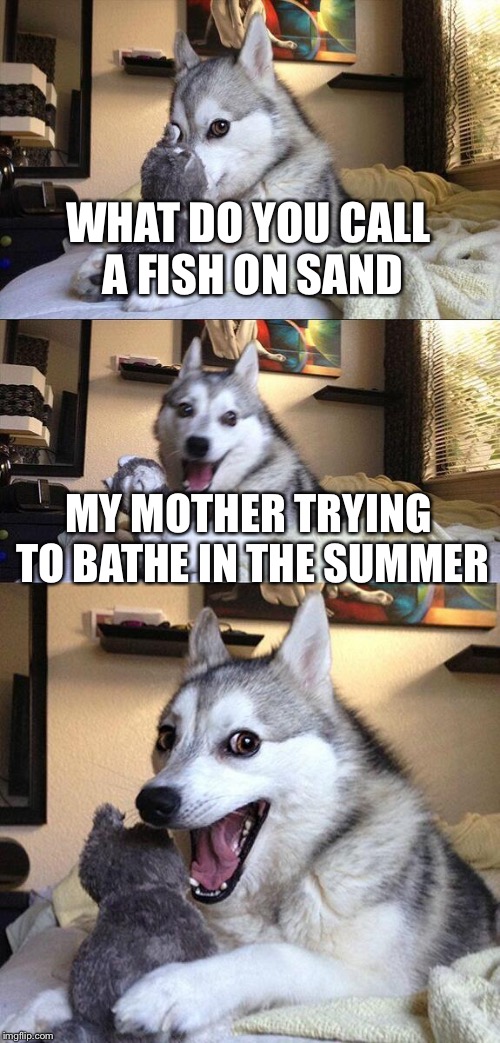 Bad Pun Dog Meme | WHAT DO YOU CALL A FISH ON SAND; MY MOTHER TRYING TO BATHE IN THE SUMMER | image tagged in memes,bad pun dog | made w/ Imgflip meme maker