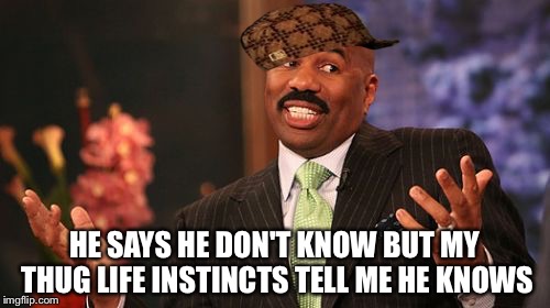 Steve Harvey | HE SAYS HE DON'T KNOW BUT MY THUG LIFE INSTINCTS TELL ME HE KNOWS | image tagged in memes,steve harvey,scumbag | made w/ Imgflip meme maker