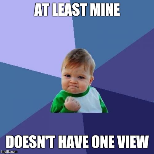 AT LEAST MINE DOESN'T HAVE ONE VIEW | image tagged in memes,success kid | made w/ Imgflip meme maker