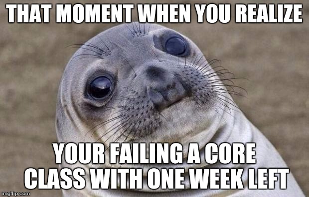 Awkward Moment Sealion | THAT MOMENT WHEN YOU REALIZE; YOUR FAILING A CORE CLASS WITH ONE WEEK LEFT | image tagged in memes,awkward moment sealion | made w/ Imgflip meme maker