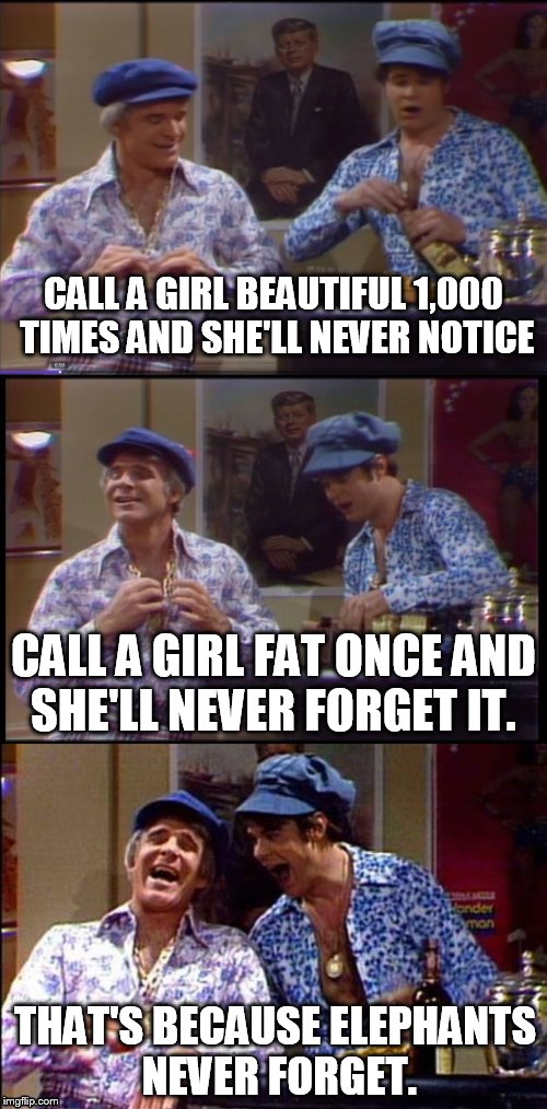Two Wild & Crazy Guys | CALL A GIRL BEAUTIFUL 1,000 TIMES AND SHE'LL NEVER NOTICE; CALL A GIRL FAT ONCE AND SHE'LL NEVER FORGET IT. THAT'S BECAUSE ELEPHANTS NEVER FORGET. | image tagged in meme,saturday night live,joke,steve martin,laugh,elephant | made w/ Imgflip meme maker