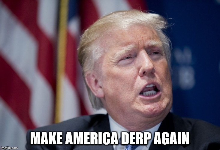 Donald Trump Derp | MAKE AMERICA DERP AGAIN | image tagged in donald trump derp | made w/ Imgflip meme maker
