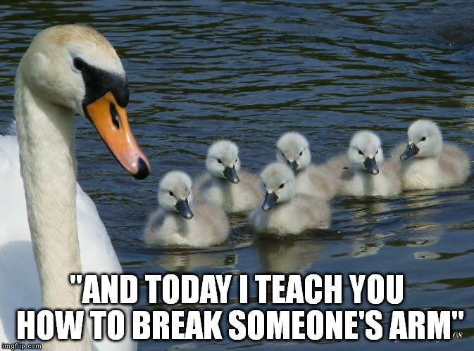 "AND TODAY I TEACH YOU HOW TO BREAK SOMEONE'S ARM" | image tagged in memes,animals | made w/ Imgflip meme maker