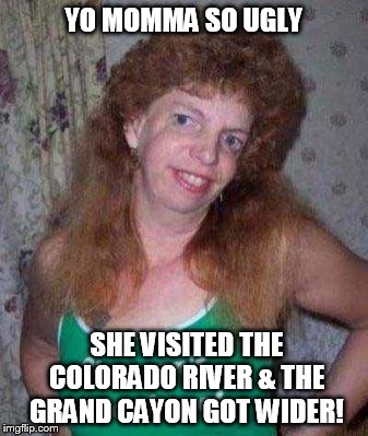 ugly ex | YO MOMMA SO UGLY; SHE VISITED THE COLORADO RIVER & THE GRAND CAYON GOT WIDER! | image tagged in ugly ex,wider | made w/ Imgflip meme maker