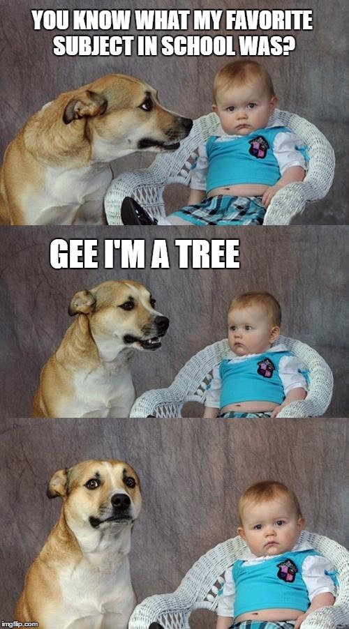 Dad Joke Dog Meme | YOU KNOW WHAT MY FAVORITE SUBJECT IN SCHOOL WAS? GEE I'M A TREE | image tagged in memes,dad joke dog | made w/ Imgflip meme maker
