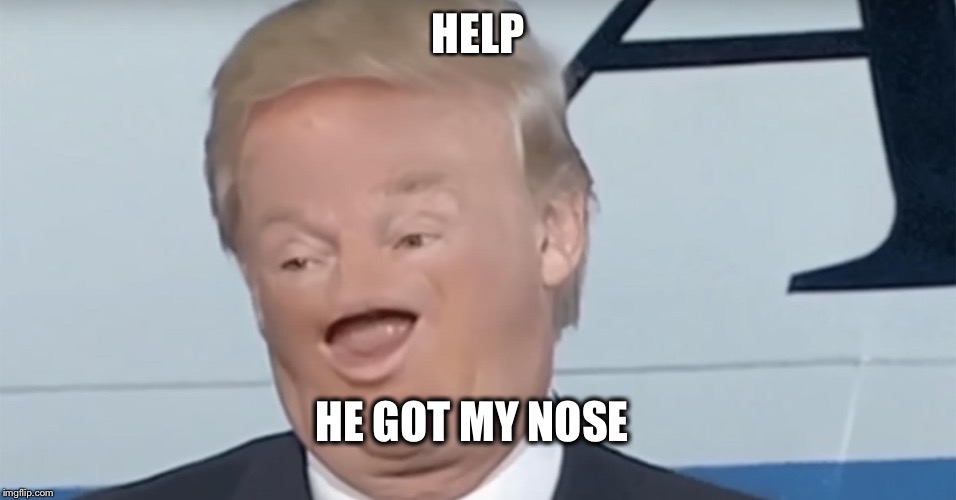 HELP; HE GOT MY NOSE | image tagged in donald trump | made w/ Imgflip meme maker