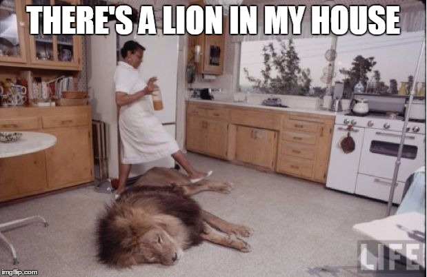 Jumanji- Lion in my house | THERE'S A LION IN MY HOUSE | image tagged in jumanji- lion in my house | made w/ Imgflip meme maker