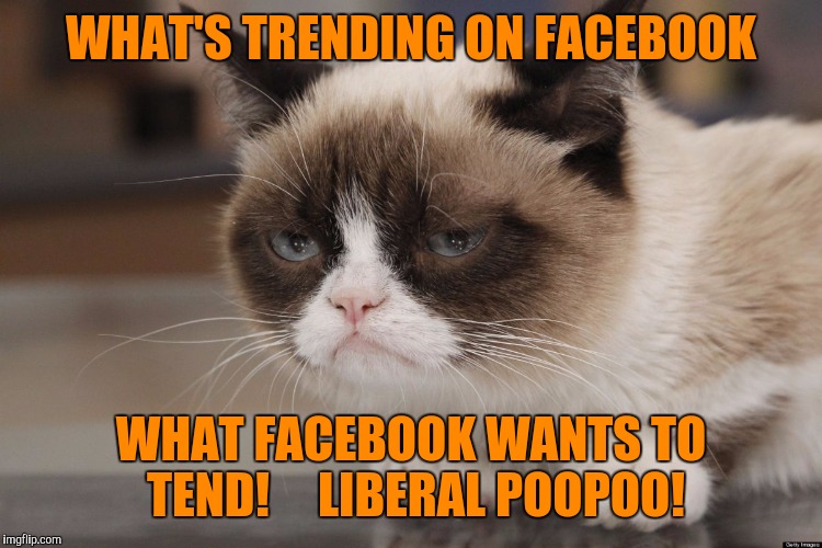 WHAT'S TRENDING ON FACEBOOK; WHAT FACEBOOK WANTS TO TEND!     LIBERAL POOPOO! | image tagged in o-grumpy-cat-movie-facebookjpg | made w/ Imgflip meme maker