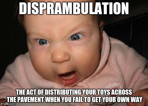 Evil Baby Meme | DISPRAMBULATION; THE ACT OF DISTRIBUTING YOUR TOYS ACROSS THE PAVEMENT WHEN YOU FAIL TO GET YOUR OWN WAY | image tagged in memes,evil baby | made w/ Imgflip meme maker