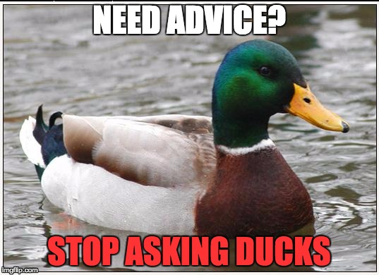 Actual Advice Mallard | NEED ADVICE? STOP ASKING DUCKS | image tagged in memes,actual advice mallard | made w/ Imgflip meme maker