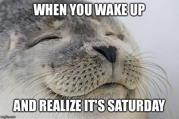 Satisfied Seal | WHEN YOU WAKE UP; AND REALIZE IT'S SATURDAY | image tagged in memes,satisfied seal | made w/ Imgflip meme maker