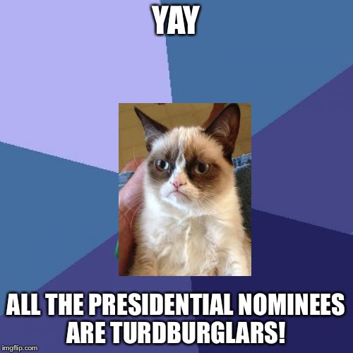 Success Kid Meme | YAY; ALL THE PRESIDENTIAL NOMINEES ARE TURDBURGLARS! | image tagged in memes,success kid | made w/ Imgflip meme maker
