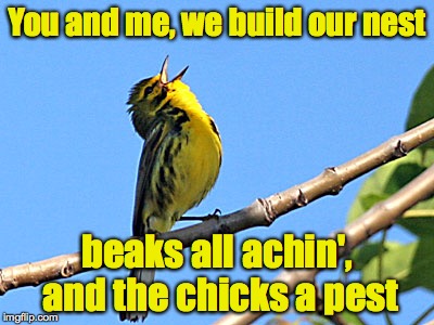 You and me, we build our nest beaks all achin', and the chicks a pest | made w/ Imgflip meme maker