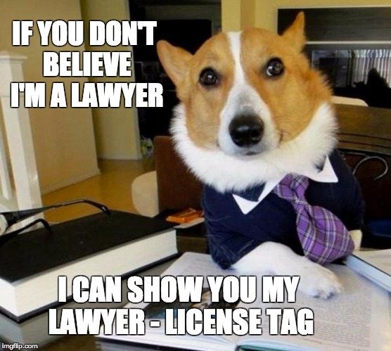 Lawyer dog | IF YOU DON'T BELIEVE I'M A LAWYER; I CAN SHOW YOU MY LAWYER - LICENSE TAG | image tagged in lawyer dog | made w/ Imgflip meme maker