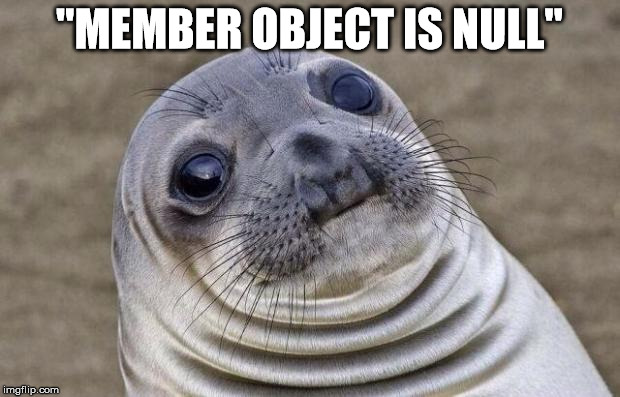 Awkward Moment Sealion Meme | "MEMBER OBJECT IS NULL" | image tagged in memes,awkward moment sealion | made w/ Imgflip meme maker
