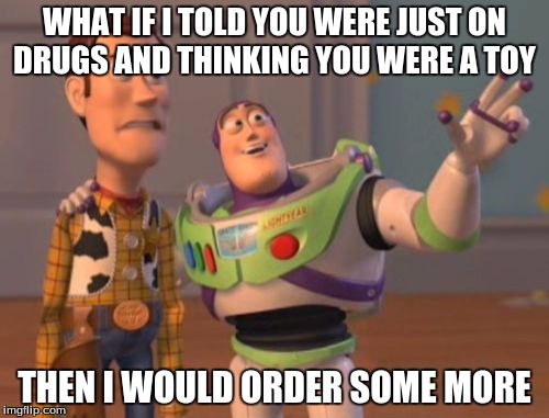 X, X Everywhere | WHAT IF I TOLD YOU WERE JUST ON DRUGS AND THINKING YOU WERE A TOY; THEN I WOULD ORDER SOME MORE | image tagged in memes,x x everywhere | made w/ Imgflip meme maker