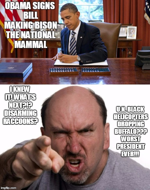 the modus operandi of pretty much every mindless conservative | I KNEW IT! WHAT'S NEXT?!? DISARMING RACCOONS? U.N. BLACK HELICOPTERS DROPPING BUFFALO??? WORST PRESIDENT EVER!!! | image tagged in obama,conservative,politics | made w/ Imgflip meme maker