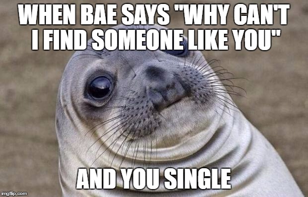 Awkward Moment Sealion | WHEN BAE SAYS "WHY CAN'T I FIND SOMEONE LIKE YOU"; AND YOU SINGLE | image tagged in memes,awkward moment sealion | made w/ Imgflip meme maker