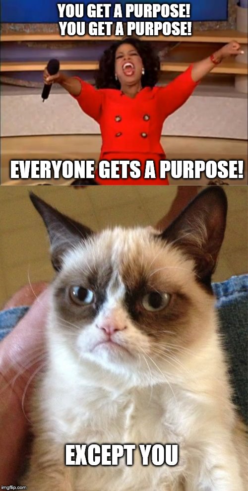 YOU GET A PURPOSE! YOU GET A PURPOSE! EVERYONE GETS A PURPOSE! EXCEPT YOU | made w/ Imgflip meme maker