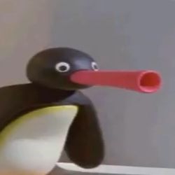 High Quality NOOT NOOT Blank Meme Template