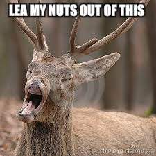 LEA MY NUTS OUT OF THIS | made w/ Imgflip meme maker