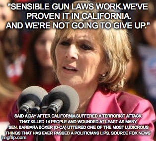 "SENSIBLE GUN LAWS WORK.WE'VE PROVEN IT IN CALIFORNIA. AND WE'RE NOT GOING TO GIVE UP."; SAID A DAY AFTER CALIFORNIA SUFFERED A TERRORIST ATTACK THAT KILLED 14 PEOPLE AND WOUNDED AT LEAST AS MANY, SEN. BARBARA BOXER (D-CA) UTTERED ONE OF THE MOST LUDICROUS THINGS THAT HAS EVER PASSED A POLITICIANS LIPS. SOURCE FOX NEWS | made w/ Imgflip meme maker