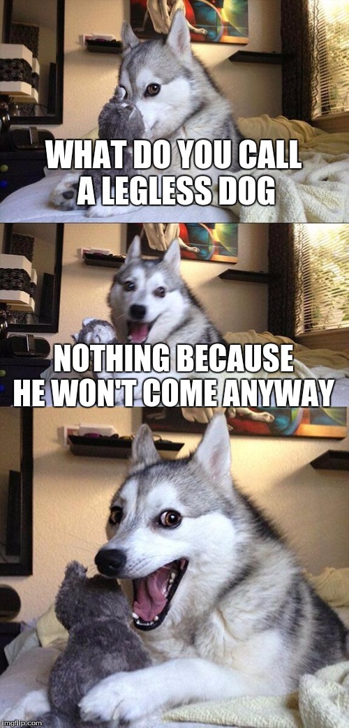 Bad Pun Dog | WHAT DO YOU CALL A LEGLESS DOG; NOTHING BECAUSE HE WON'T COME ANYWAY | image tagged in memes,bad pun dog | made w/ Imgflip meme maker